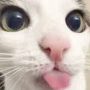 Meet your Posher, Bradley